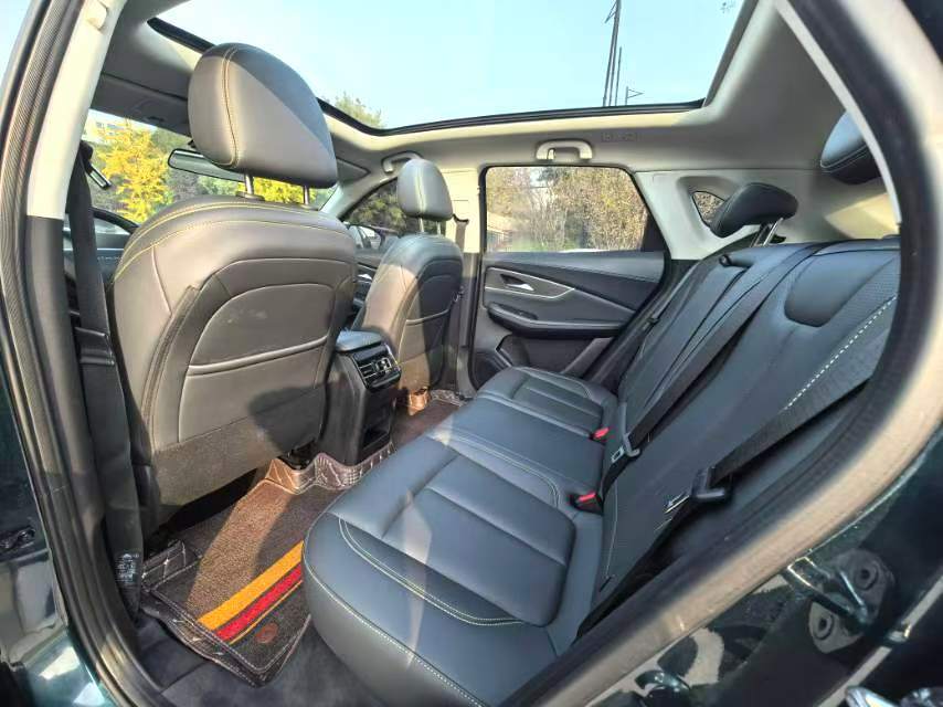 Wind Flow T5 EVO 1.5T Skyline Edition 2024 model Automatic transmission