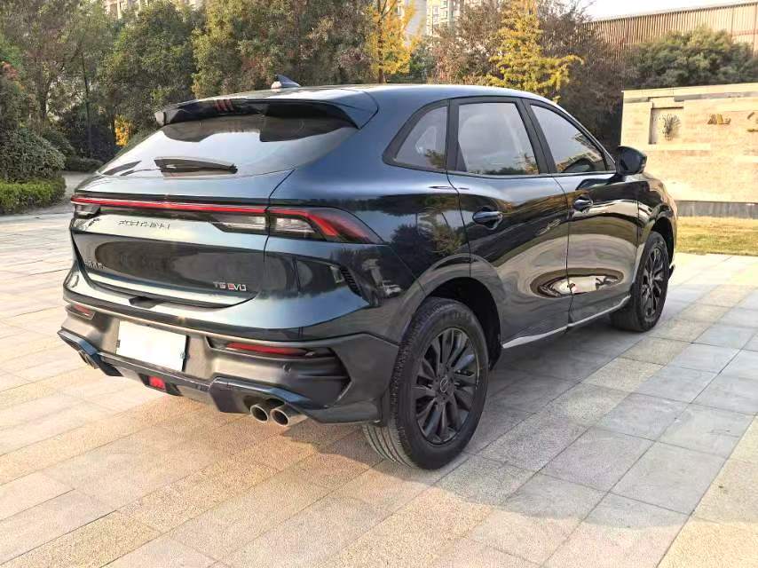 Wind Flow T5 EVO 1.5T Skyline Edition 2024 model Automatic transmission