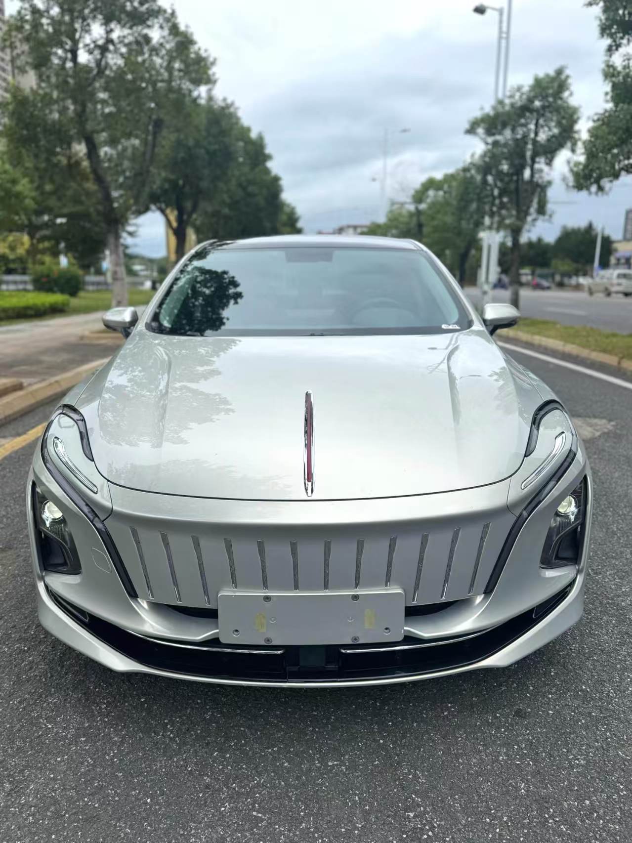 Hongqi E-QM5 2022 431km Charging Enjoyment Edition Automatic Transmission