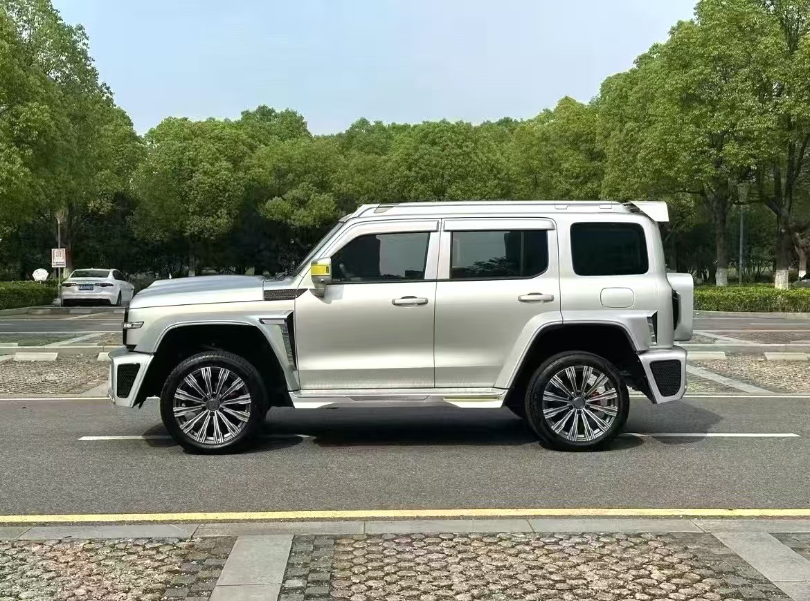 Tank 300 Cyber Tank 2021 Model 2.0T Automatic Transmission