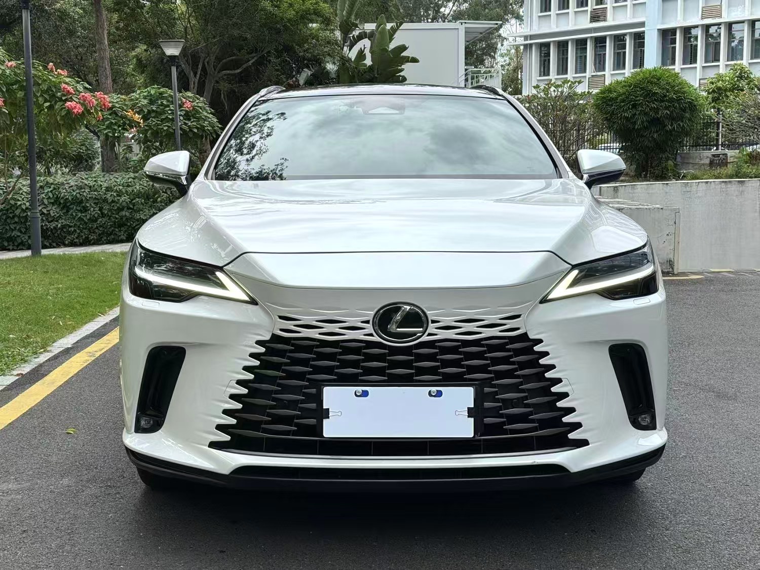 Lexus RX350 2023 model 2.5CVT All-Wheel Drive Smart Enjoyment Edition Automatic Transmission