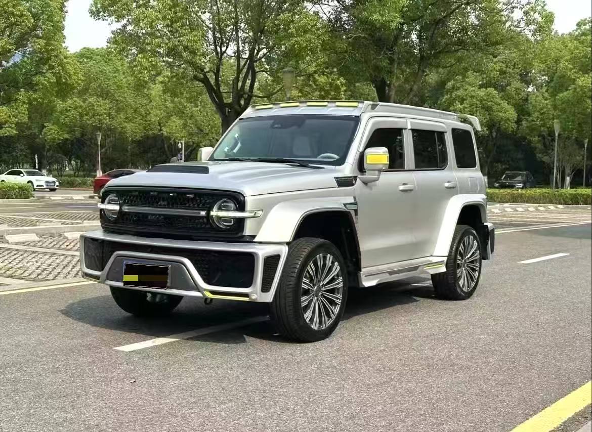 Tank 300 Cyber Tank 2021 Model 2.0T Automatic Transmission