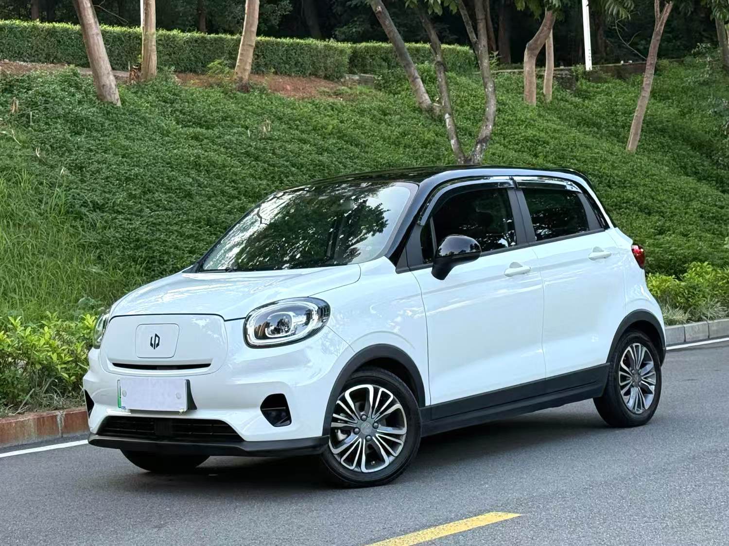 Zero Run T03 2021 Model 400 Micro Sugar Edition Automatic Transmission