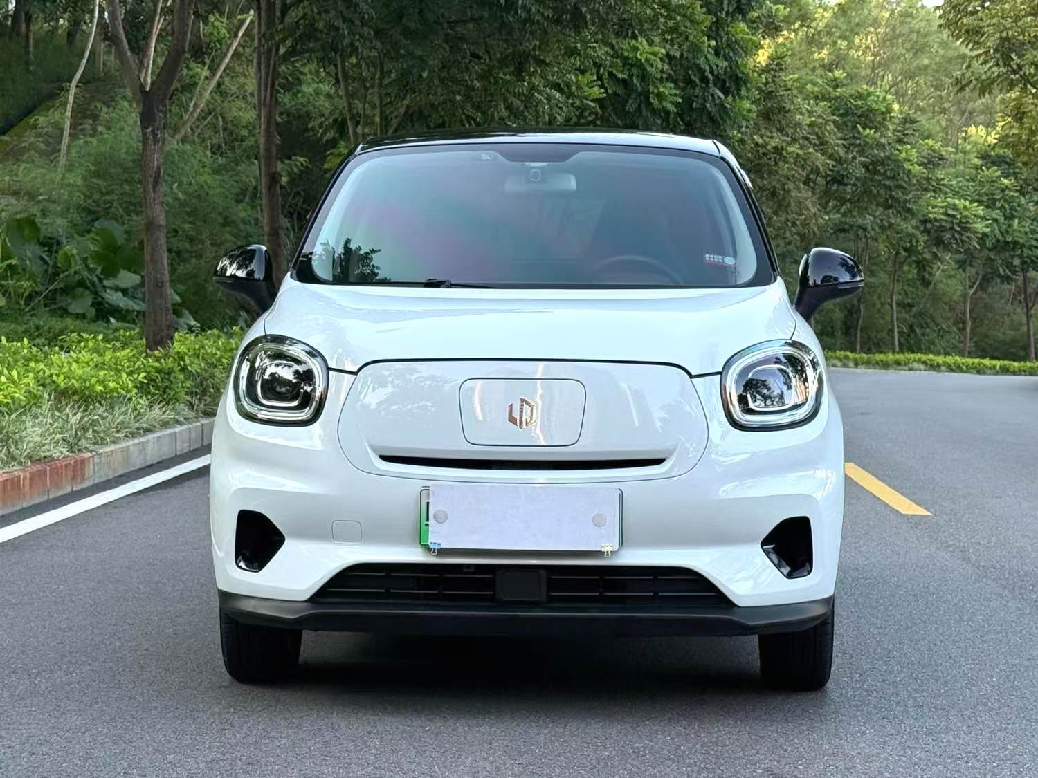 Zero Run T03 2021 Model 400 Micro Sugar Edition Automatic Transmission