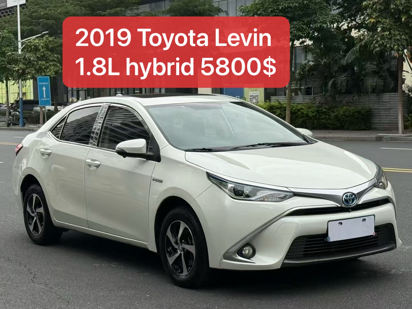 Toyota Levin