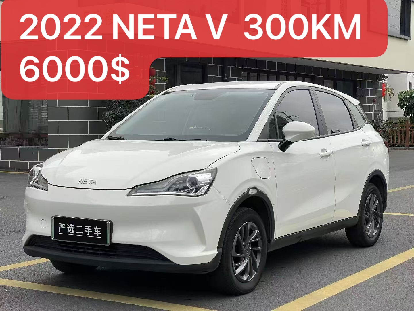 NETA V